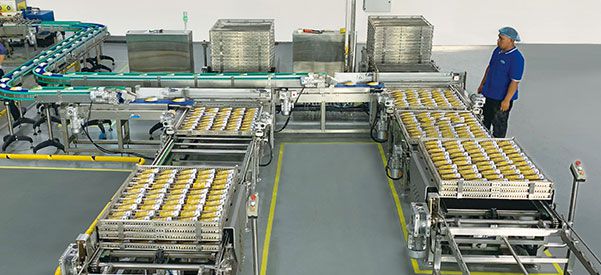 Flexible Packaging Loading and Unloading System